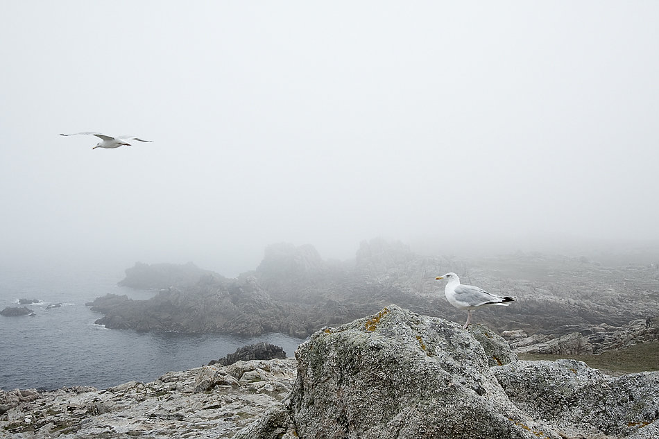 ouessant11-07-tb.jpg