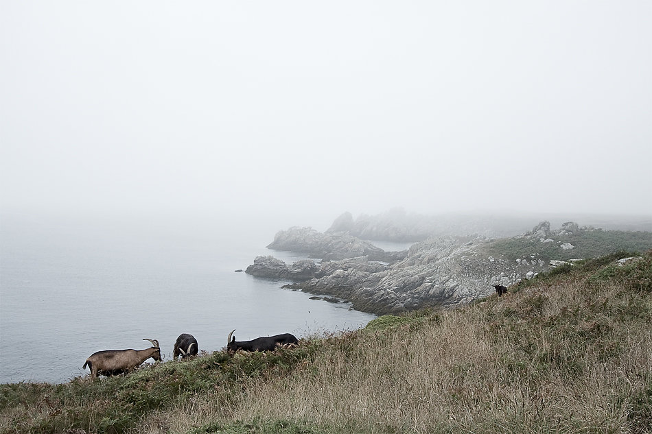 ouessant11-05-tb2.jpg