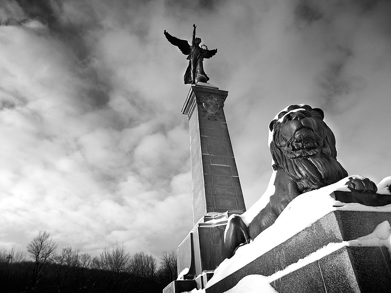 lion-mt-royal-tb.jpg