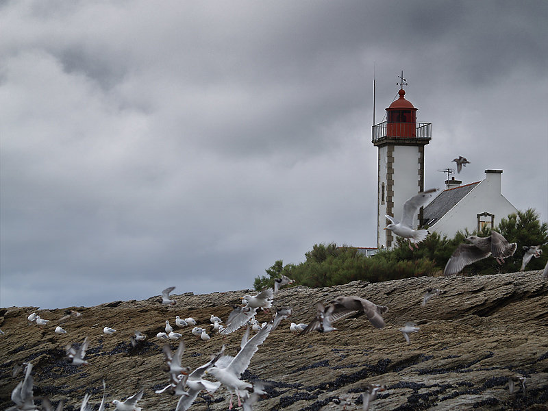 pointe-des-chats-tb.jpg